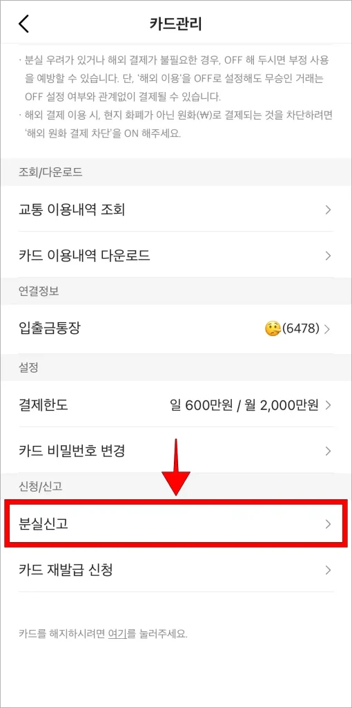 카드 관리에서 '분실신고'를 선택